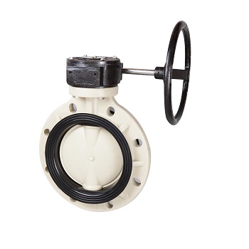 BUTTERFLY VALVE(WORM GEAR) PPH